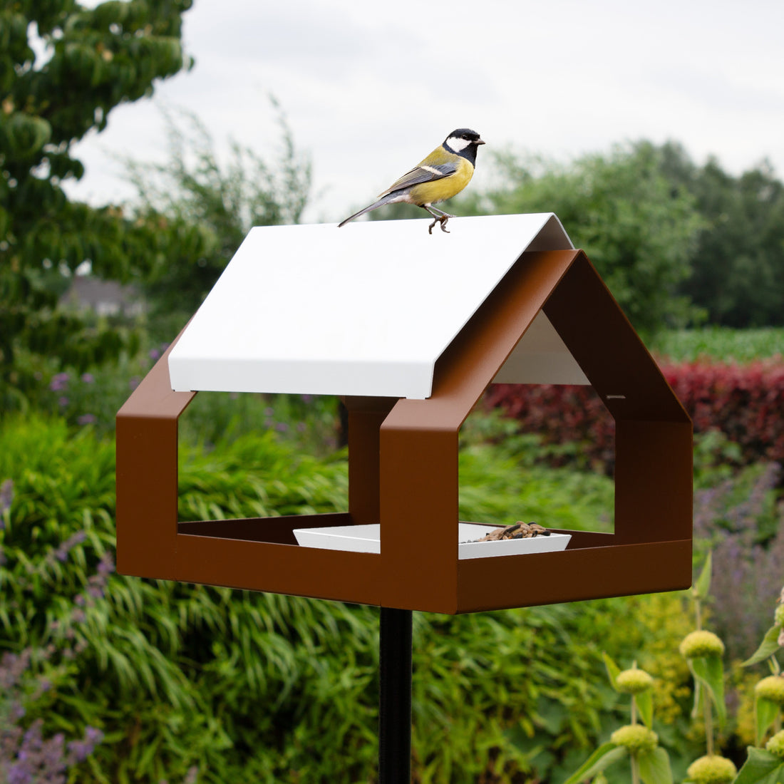 Mangeoire oiseaux à planter - The Barn