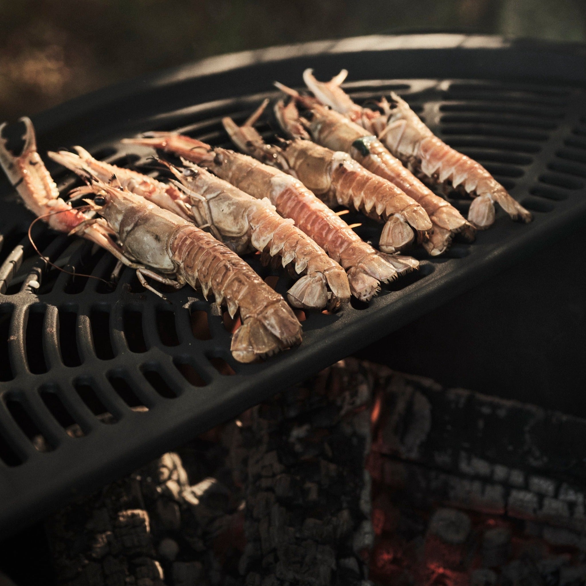 Griller de gambas sur le grill du barbecue à bois Grill &