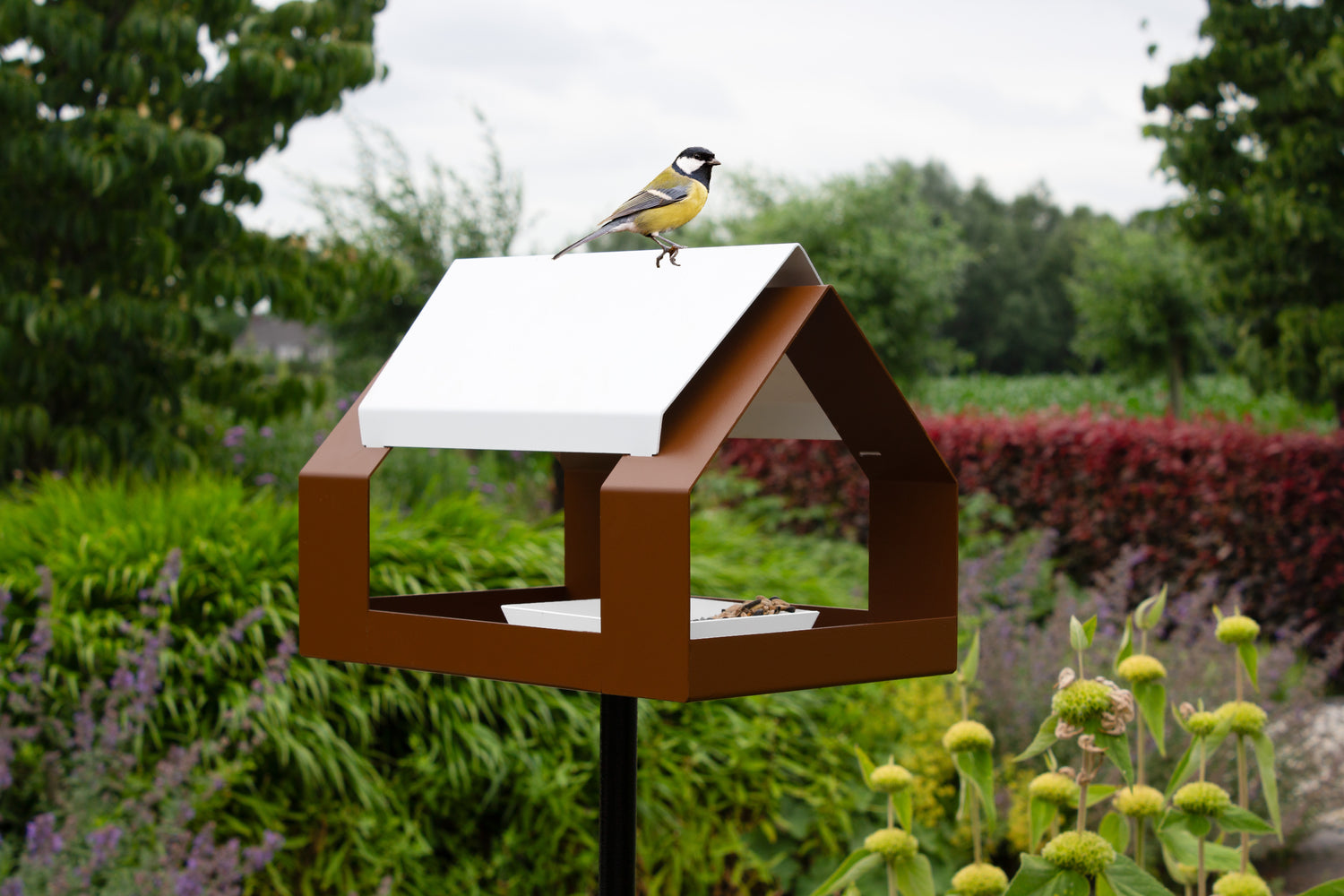 Mangeoire oiseaux à planter - The Barn