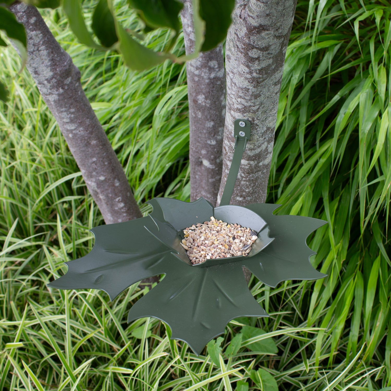 Plateau de graines à oiseaux à fixer